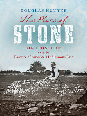 cover image of The Place of Stone